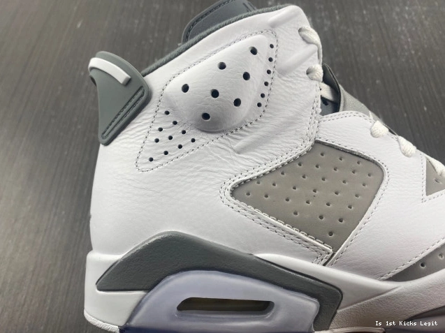 Jordan 6 Grey CT8529-100 Air Cool 0721